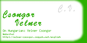 csongor velner business card